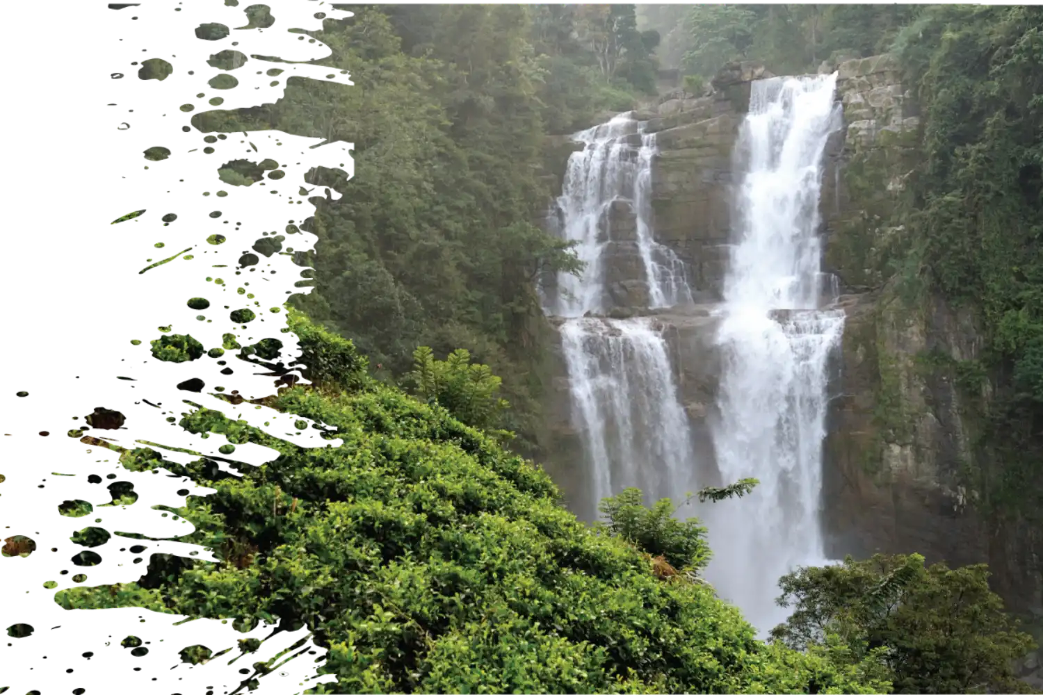 Separator